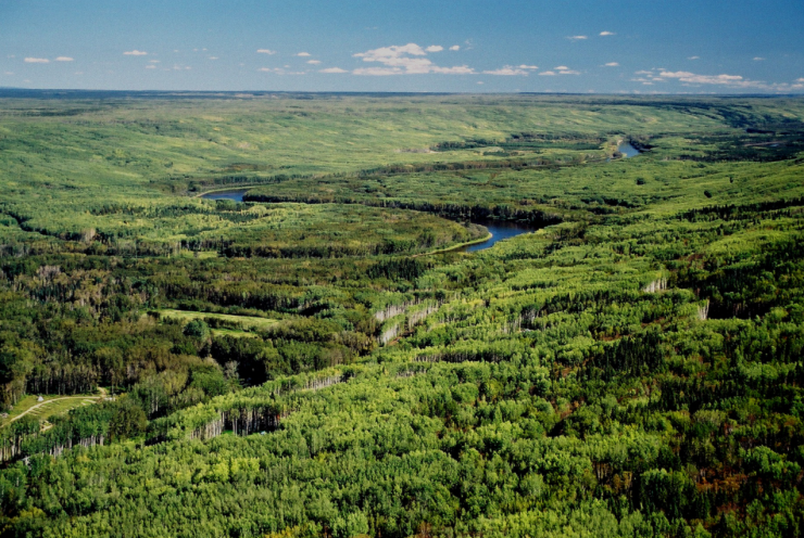 Giữa những tán rừng bạt ngàn ở tỉnh Alberta (Canada) ẩn chứa những mỏ dầu cát khổng lồ với trữ lượng lên tới 170 tỷ thùng. Ảnh: Global Forest Watch