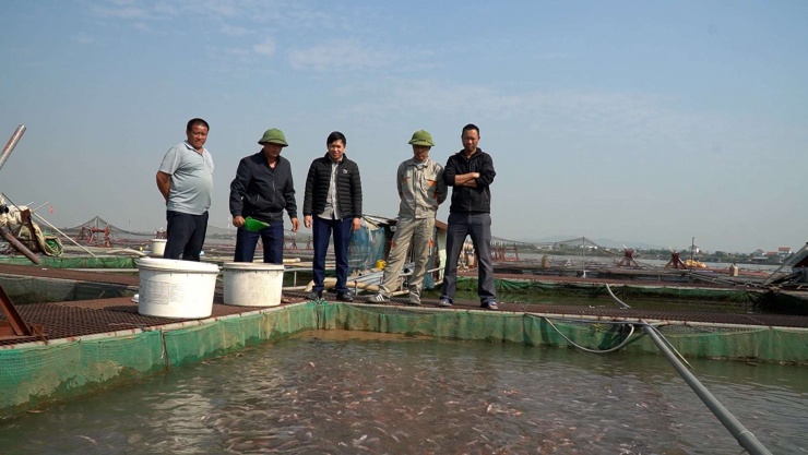 Nuôi cá lồng kiểu gì mà nông dân Bắc Ninh thu tiền tỷ mỗi năm? - 1
