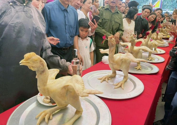 Gia đình nào trong khu phố có người đến tuổi 50 trình xôi, gà sẽ được dân làng báo trước một năm để chuẩn bị nuôi gà. Gà để dâng lễ được chọn ngay từ khi nuôi với nhiều yêu cầu kỹ lưỡng.