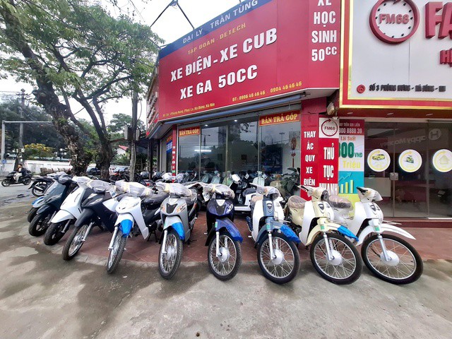 Thị trường xe điện khá đa dạng. Ảnh: Quỳnh Mai.