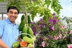 Biệt thự ngập hoa rộng 500 m2 của vợ chồng Quyền Linh