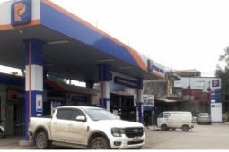 Các quốc gia ứng phó với khủng hoảng xăng dầu ra sao?