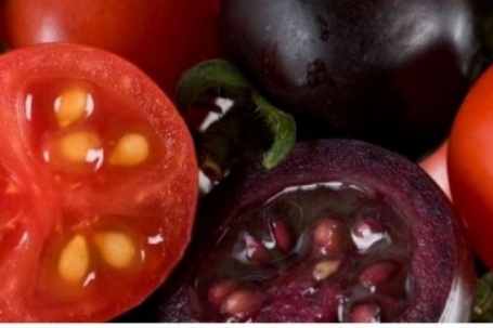 “Ngôi sao chống lão hóa” ăn một chút mỗi ngày giúp ngừa ung thư, ngăn đột quỵ