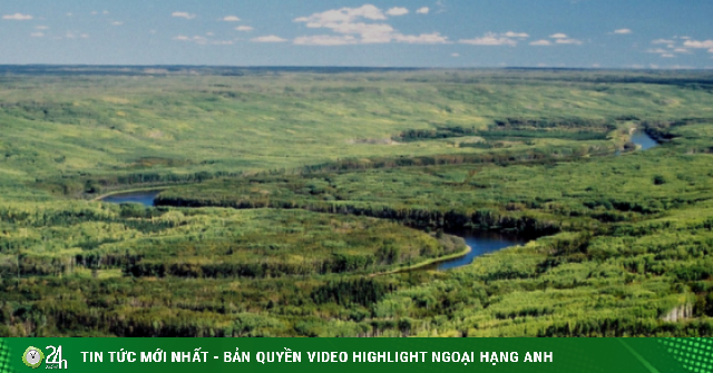 Sự thật ít người biết về 170 tỷ thùng dầu dưới tán rừng xanh