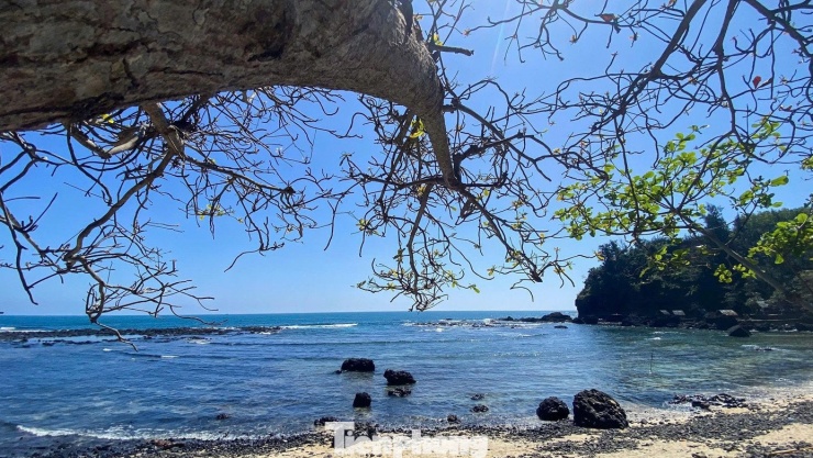 Xa xa, mặt biển trải dài bất tận, từng lớp sóng xô bờ, tạo nên nhịp điệu vừa dữ dội vừa mê hoặc.