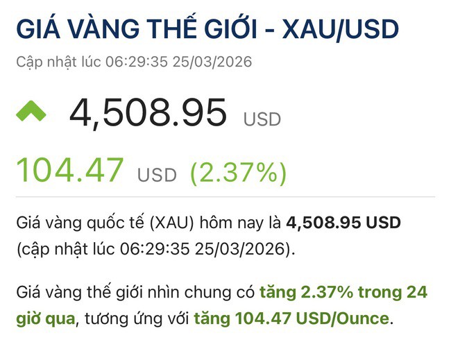 Giá vàng hôm nay, 25-3: Tiếp tục đi lên - 2
