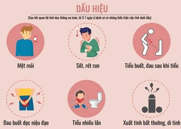 Nhiều bệnh lây qua đường tình dục không triệu chứng, dễ bị bỏ qua, hệ luỵ nặng nề - 1