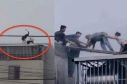 Dân mạng tìm thông tin 2 người hùng đập mái nhà cứu người kẹt trong đám cháy