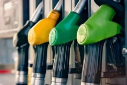 Giá xăng dầu hôm nay 25/3: Tăng, giảm trái chiều