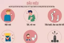 Nhiều bệnh lây qua đường tình dục không triệu chứng, dễ bị bỏ qua, hệ luỵ nặng nề