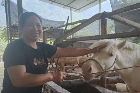 Ở Thái Nguyên (địa phận Bắc Kạn), dân nuôi con vật to lớn này, là “đặc sản dược liệu”, nuôi thêm con gì càng ra tiền?