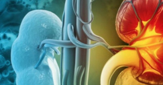 Thói quen ăn uống tăng nguy cơ suy thận, nhiều người Việt đang mắc phải mà không biết