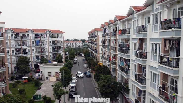 Đoàn thanh tra xác định, khi kết thúc giai đoạn xây dựng, các công trình hạ tầng kỹ thuật chưa được chuyển giao cho chính quyền địa phương. Chủ đầu tư chưa cung cấp đầy đủ thông tin về diện tích căn hộ, giá bán, giá cho thuê với từng căn hộ để công khai; không lập biên nhận hồ sơ, ghi rõ lý do chưa giải quyết với các trường hợp chưa đầy đủ; không có phiếu trả với các hồ sơ không đủ điều kiện.