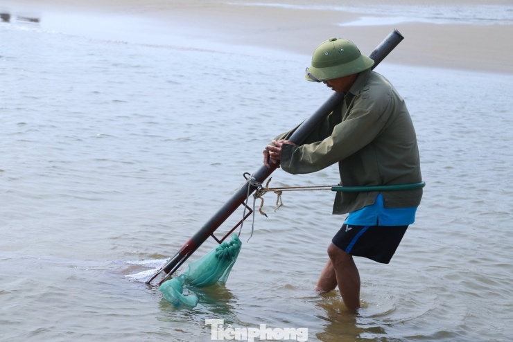 Đôi bàn tay của ông Hoàng Văn Hải (61 tuổi, trú phường Cửa Lò) chai sạn, trầy xước vì những vỏ ngao sắc bén. Làn da sạm đen bởi nắng gió biển hằn in dấu vết của những tháng ngày mưu sinh nhọc nhằn. “Mỗi ngày tôi cào được khoảng 7 – 8kg ngao, mang ra chợ bán với giá 30.000 - 35.000 đồng/kg, được vài trăm nghìn đồng”, ông Hải chia sẻ.