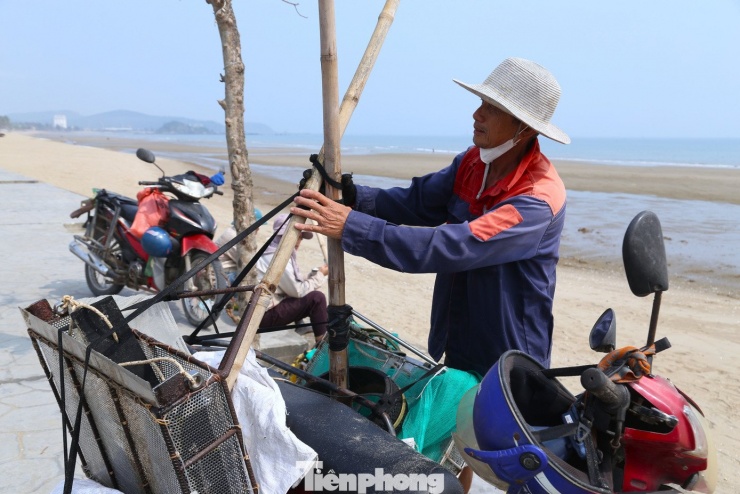 Không chỉ người địa phương, nhiều lao động từ nơi khác cũng tìm về Cửa Lò cào ngao mưu sinh. Sau Tết, một nhóm 10 người từ xã Hải Châu (Nghệ An) vượt hơn 50km đến đây cào ngao. Họ bắt đầu công việc từ 4 giờ sáng, mang theo đồ ăn, nước uống để trụ lại đến chiều.