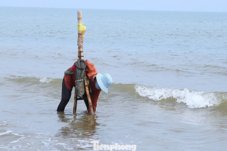 'Đi giật lùi' ở biển Cửa Lò, đổi sức kiếm từng mẻ ngao mưu sinh - 10
