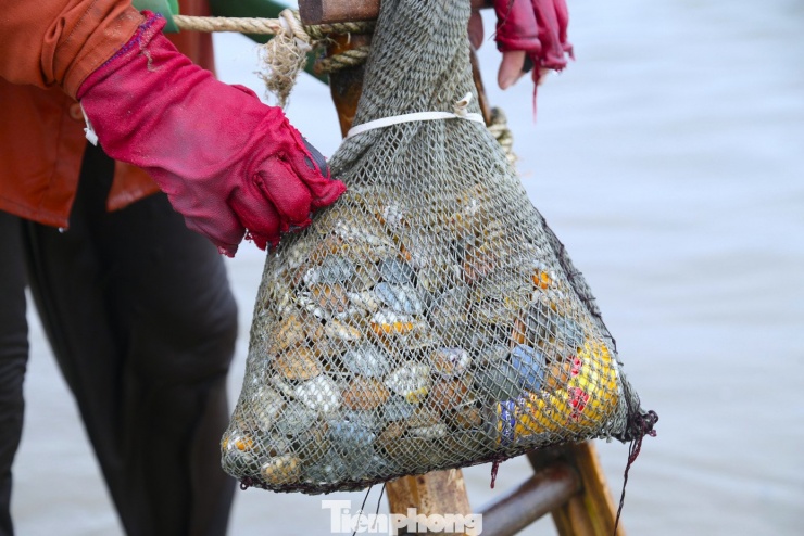 Thu nhập của người dân không ổn định, phụ thuộc hoàn toàn vào con nước và sản lượng.