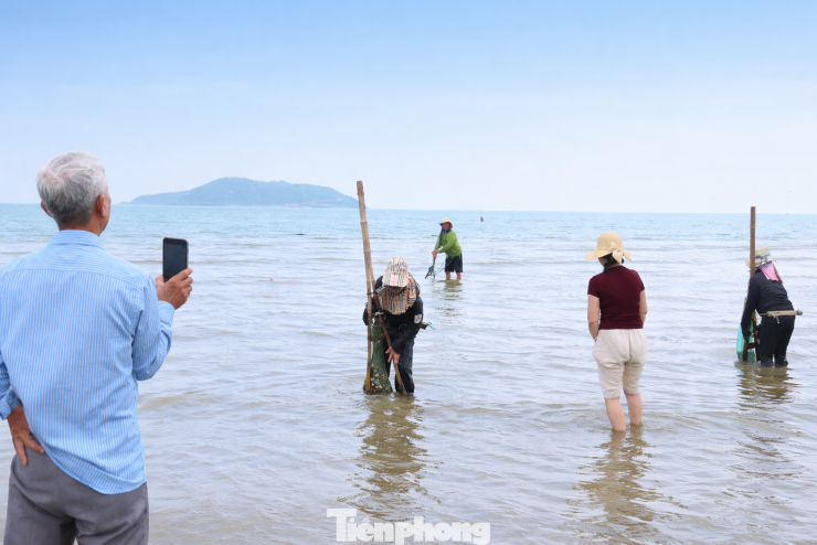 Giữa mênh mông sóng nước, hình ảnh những người dân lầm lũi “đi giật lùi” cào ngao đã trở nên quen thuộc trên biển Cửa Lò. Dẫu nhọc nhằn, họ vẫn bám biển, bám nghề. Trong ảnh: Du khách thích thú ghi lại cảnh người dân cào ngao trên biển Cửa Lò.