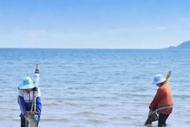 'Đi giật lùi' ở biển Cửa Lò, đổi sức kiếm từng mẻ ngao mưu sinh