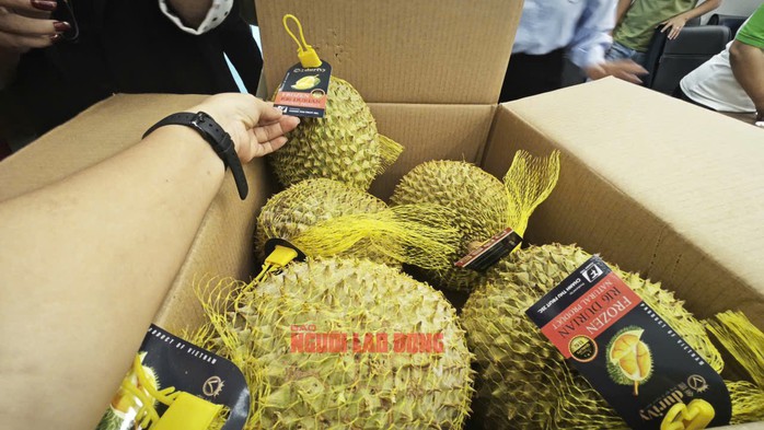 Sầu riêng đông lạnh xuất khẩu của doanh nghiệp