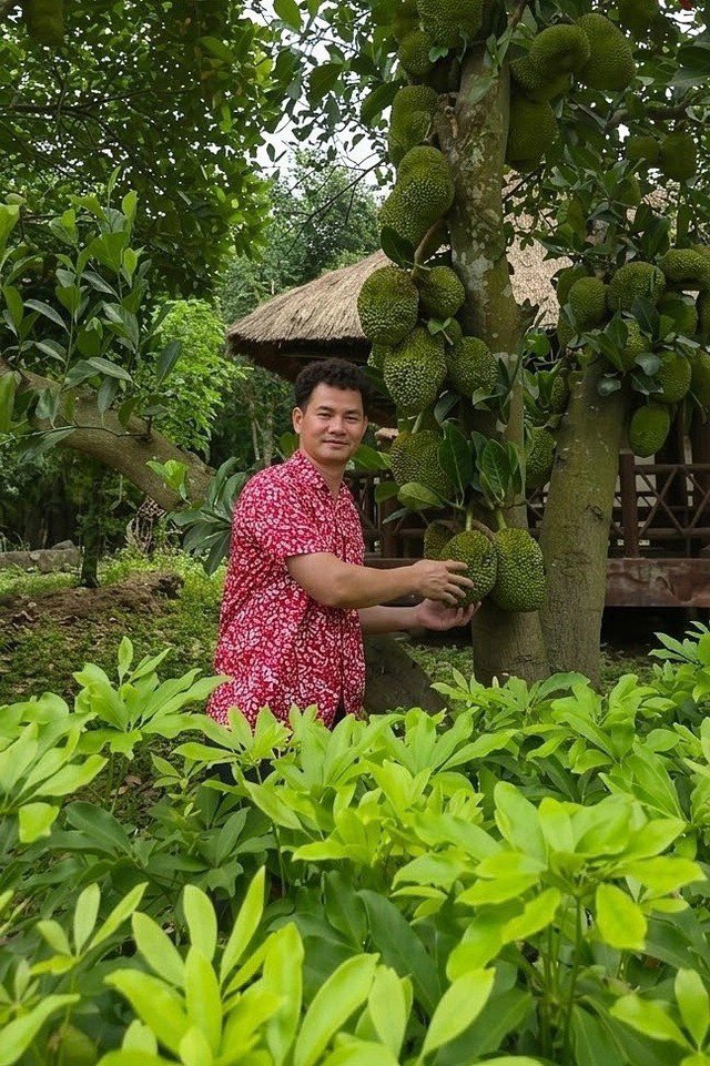 Xuân Bắc có một tình yêu đặc biệt với việc chăm sóc cây cỏ quanh nhà. Anh trồng các loại cây ăn quả như mít, mơ, khế, xoài. Vào mùa thu hoạch, mít, xoài nhà anh sai trĩu quả. Mơ thường được gia đình anh dùng ngâm nước, ngâm rượu. Với rau xanh, anh chăm các loại rau quen thuộc như cải xanh, bắp cải, lá lốt, rau lang. Diễn viên thường cùng con trai út - bé Bão - bắt sâu, tưới rau.