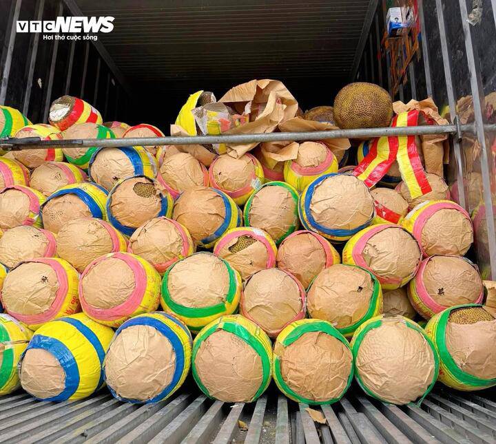 Mít nằm chờ quá lâu trên xe container bị chín rục, mất giá trị thương phẩm nên buộc phải bán tháo.