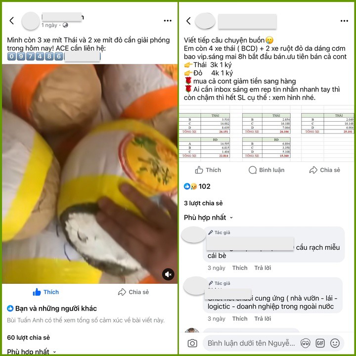 MÍt được rao bán sỉ với giá 3000-4000 đồng/kg.