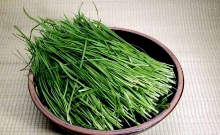 Cây thuốc Việt ăn vào bổ thận dưỡng tim, cứ ra chợ là thấy mà ít người biết