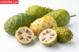 Tin tức sức khỏe - Loại quả có “mùi nồng” ở Việt Nam rẻ bèo, sang Nhật thành đặc sản tiền triệu, nhiều người tiếc vì biết quá muộn