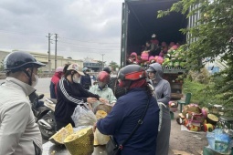 Mít không xuất khẩu được quay đầu bán lẻ, giá rẻ chưa từng có