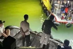 Rầm rộ bán ‘tour câu mực đêm’ trái phép trên vịnh Hạ Long