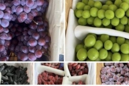 Việt Nam là “khách sộp” số 1 của nho Trung Quốc?