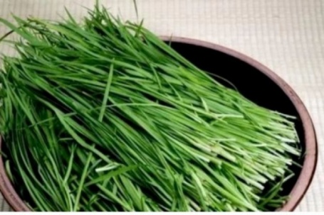 Cây thuốc Việt ăn vào bổ thận dưỡng tim, cứ ra chợ là thấy mà ít người biết