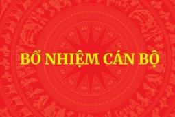 Thủ tướng quyết định nhân sự Bộ Ngoại giao, Bộ GD&ĐT