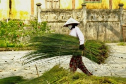 Về làng nghề 'độc nhất vô nhị' hơn 500 tuổi xem người dân đan cỏ thành tiền