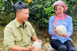 Bưởi Múc là bưởi gì mà tiếng lành đồn xa, được coi như sản vật quý, mang về hàng trăm triệu cho người dân xã Bảo Thắng?