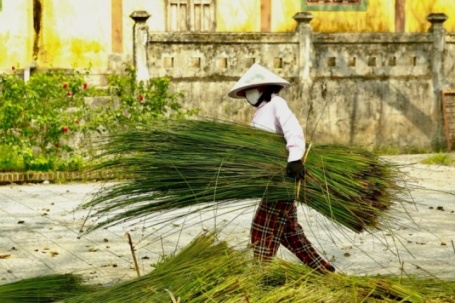 Về làng nghề 'độc nhất vô nhị' hơn 500 tuổi xem người dân đan cỏ thành tiền