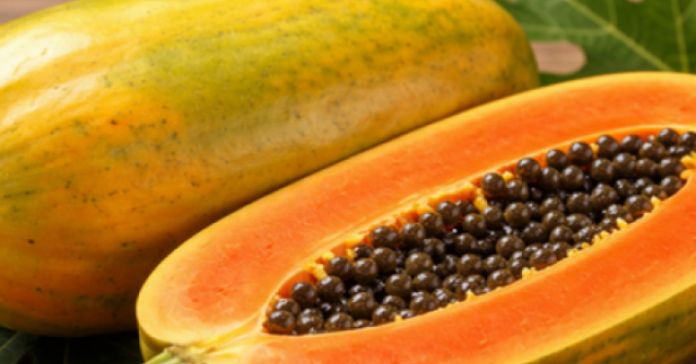 Đu đủ tốt cho sức khỏe nhưng 5 nhóm người cần thận trọng dùng