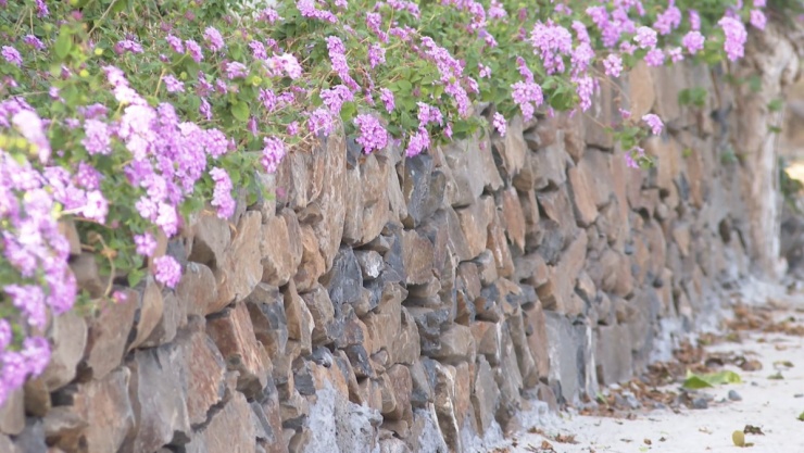 Hàng rào đá được trang trí bởi hoa ngũ sắc