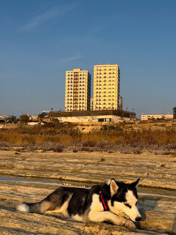 Cặp đôi đi bộ từ Anh sang Việt Nam: Hành trình 14.000 km diệu kỳ và ý nghĩa - 4