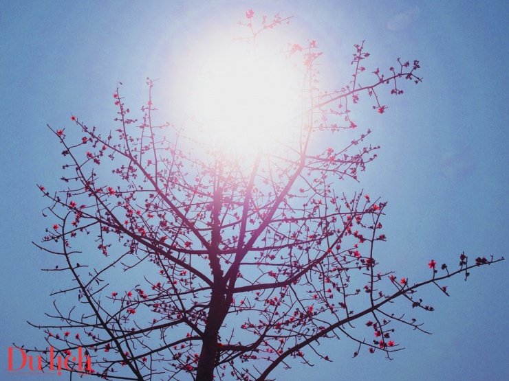 Bản hòa ca núi rừng rực rỡ sắc màu Sơn Tây Thượng - 3