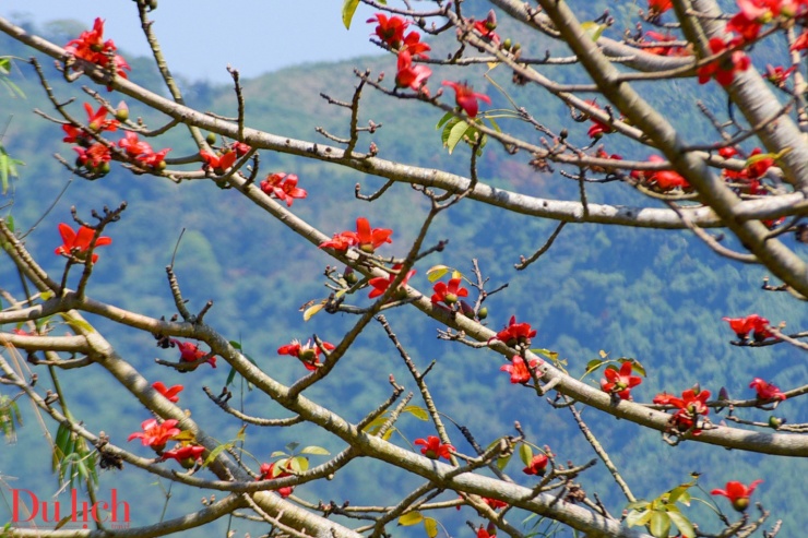 Bản hòa ca núi rừng rực rỡ sắc màu Sơn Tây Thượng - 4