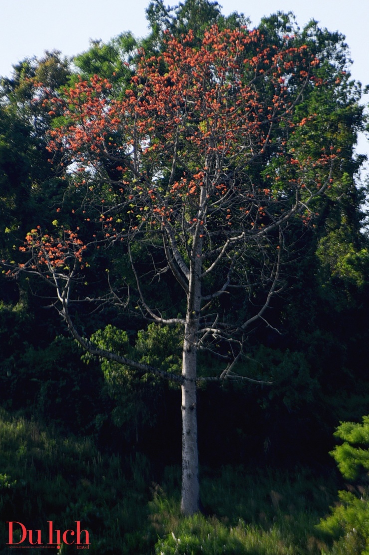 Bản hòa ca núi rừng rực rỡ sắc màu Sơn Tây Thượng - 6