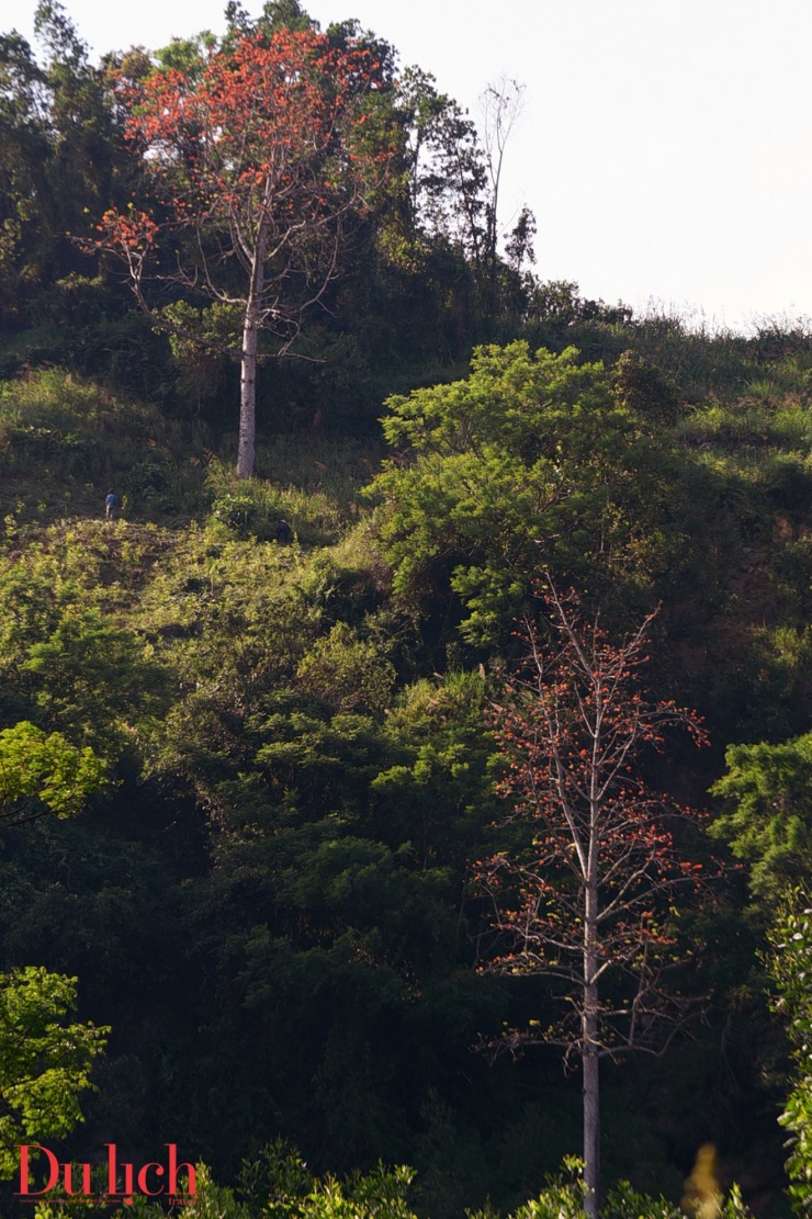 Bản hòa ca núi rừng rực rỡ sắc màu Sơn Tây Thượng - 8