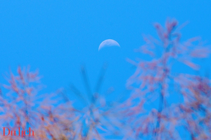 Bản hòa ca núi rừng rực rỡ sắc màu Sơn Tây Thượng - 16