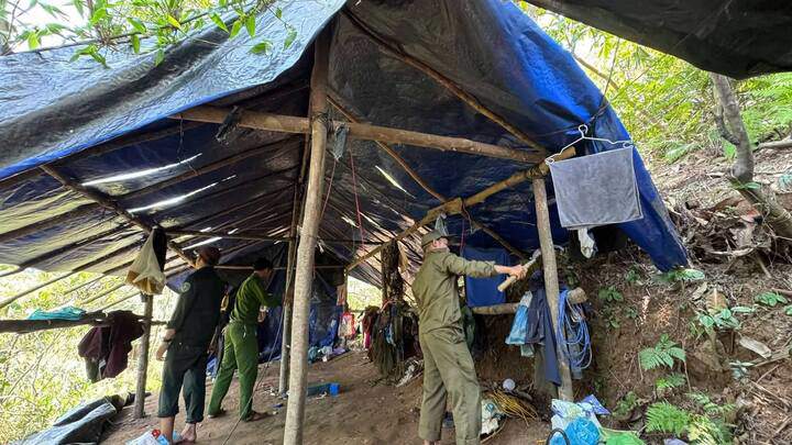 Lực lượng chức năng tiến hành tiêu hủy lán trại. (Ảnh: C.A)