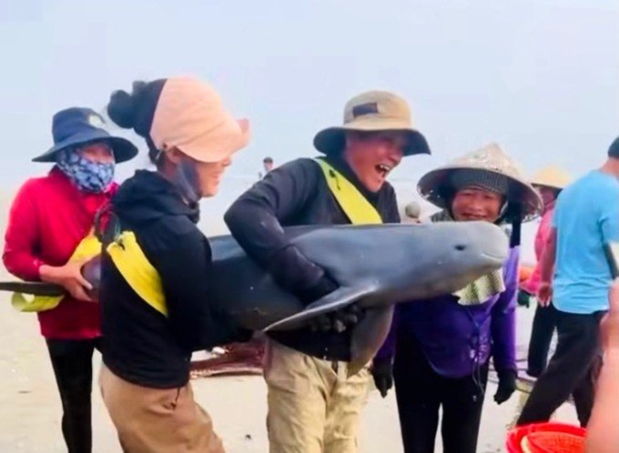 Hình ảnh người dân bắt được cá heo.