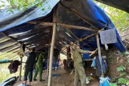 'Vàng tặc' dựng lán trại khai thác vàng trái phép ở Đà Nẵng