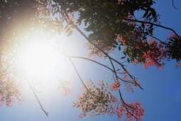 Bản hòa ca núi rừng rực rỡ sắc màu Sơn Tây Thượng