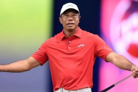 Tiger Woods bị bắt